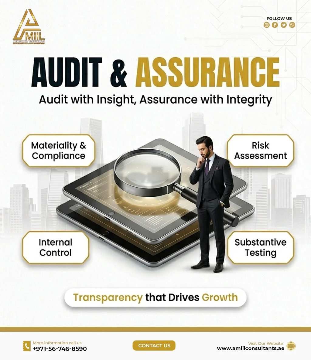 Professional Audit & Assurance Services - AMIL Consultants UAE