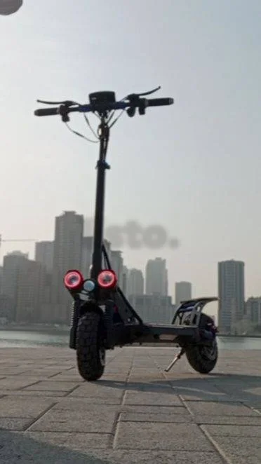 RALLY E-11 Electric Scooter 2000W 48V 18Ah 65km/h Foldable