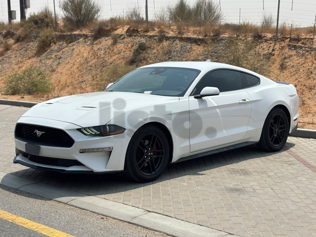 Mustang ecoboost 2022