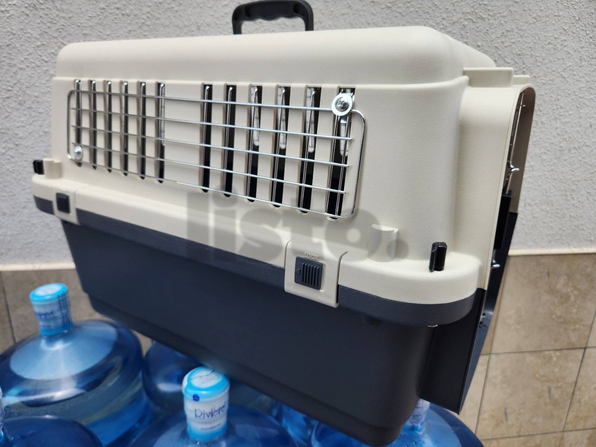 Cats and dogs carriers for air travel with metal mesh attached to the windows