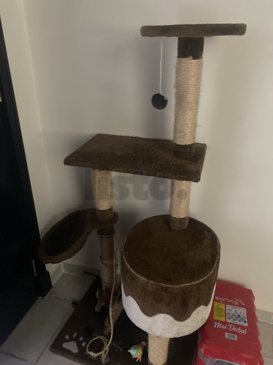 Multi-Level Cat Tree & Scratching Post for Sale - Excellent Condition