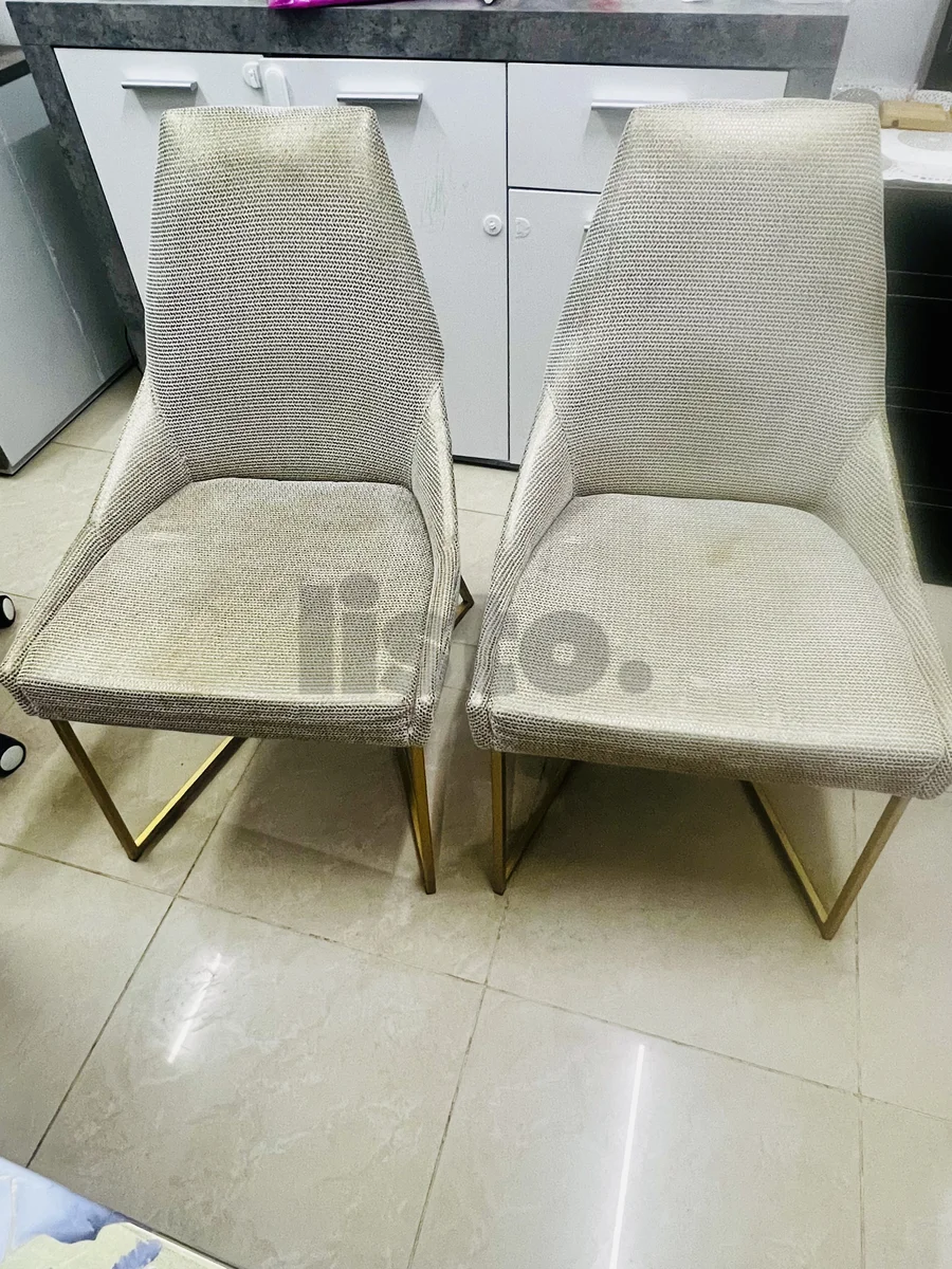 Set of 2 Modern Upholstered Dining Chairs with Gold Legs