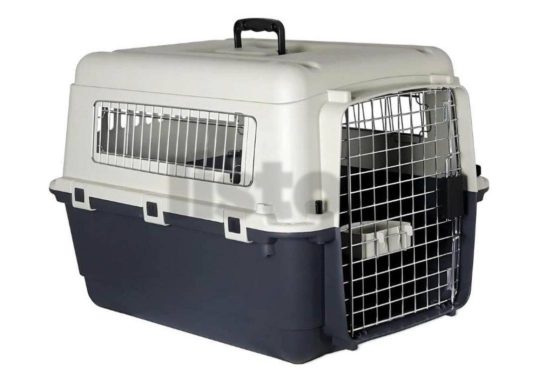 Cats carriers for air travel