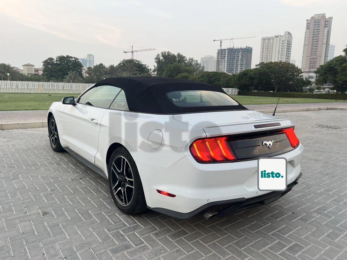 Mustang 2023 | EcoBoost Engine | Full Coupe | Perfect Condition